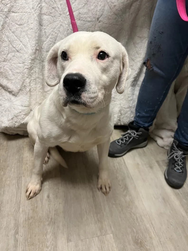 Gryffindornot Accepting Applications Yet! thumbnail 6