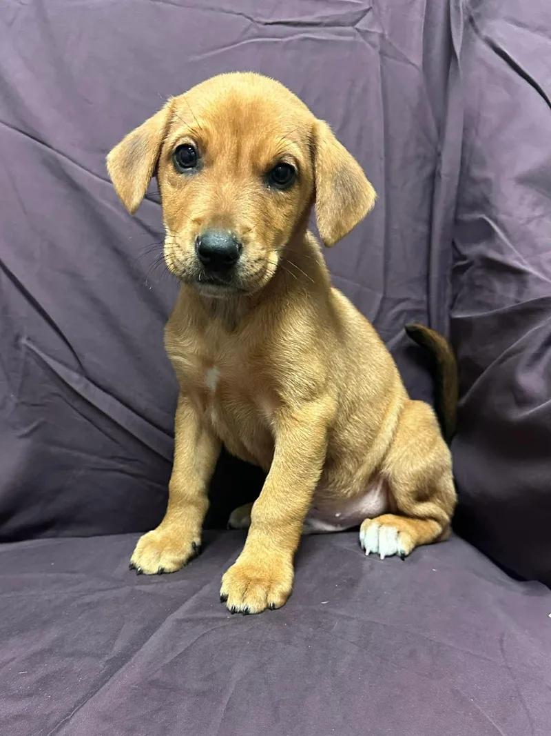 George Strait thumbnail 2