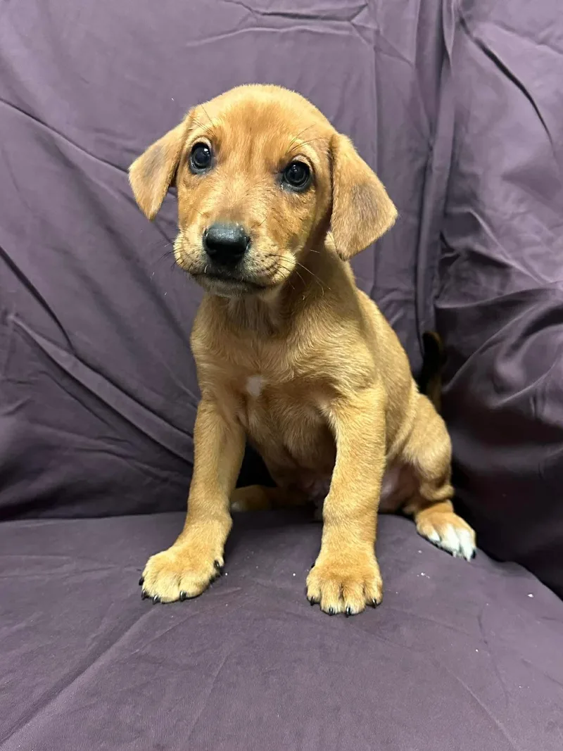 George Strait thumbnail 4