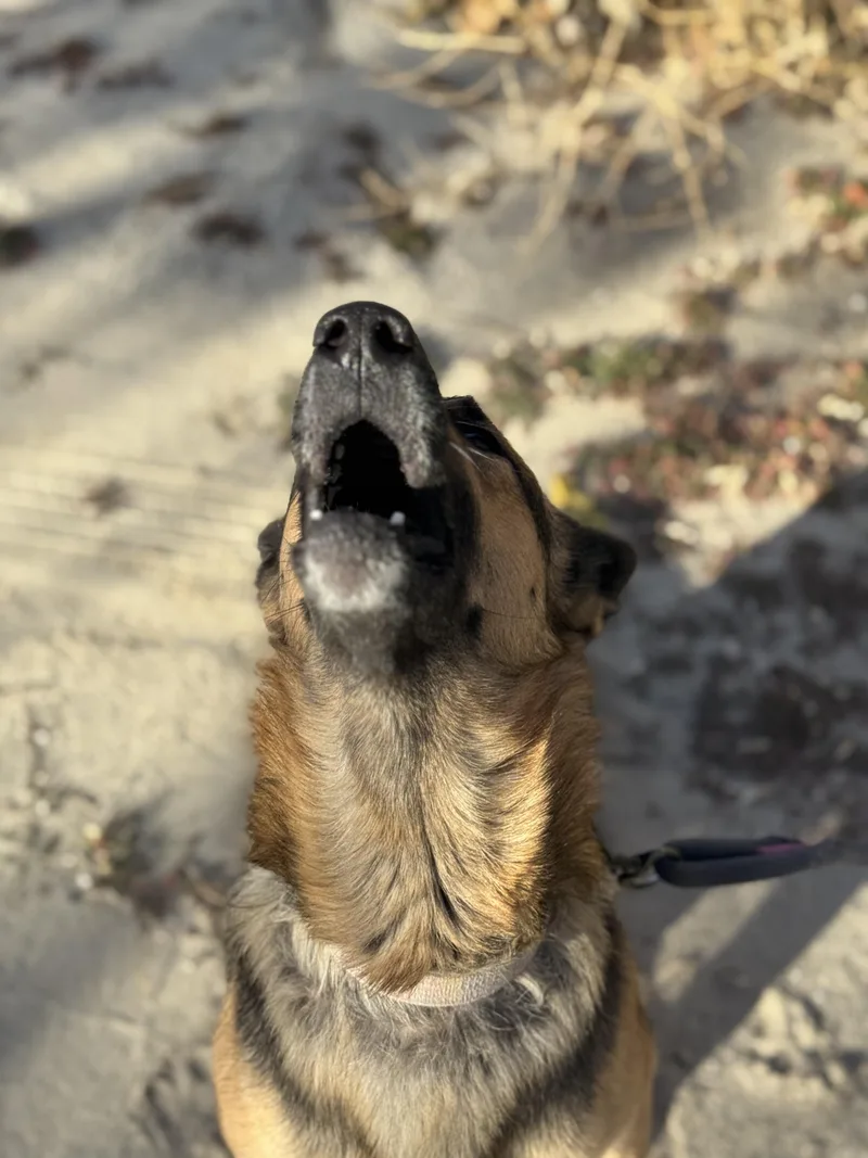 Ella Marie thumbnail 2