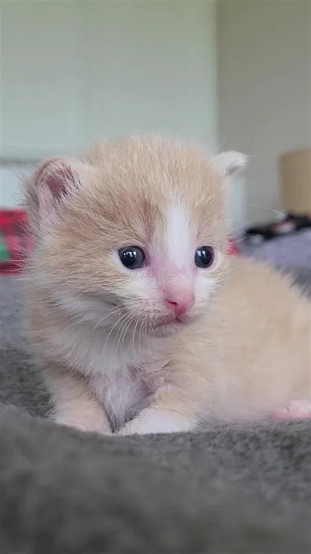 Sam