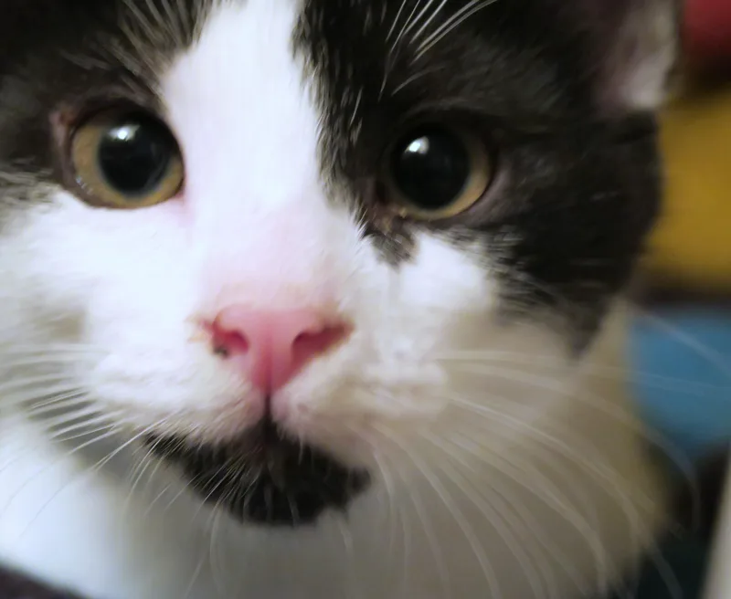 Little Miss Sunshine thumbnail 5