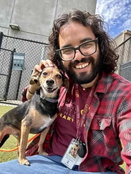 An adult small-sized male Mixed Breed dog named PeeWee for adoption in Wichita, KS