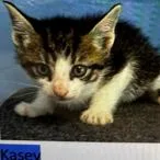 Kasey thumbnail 2