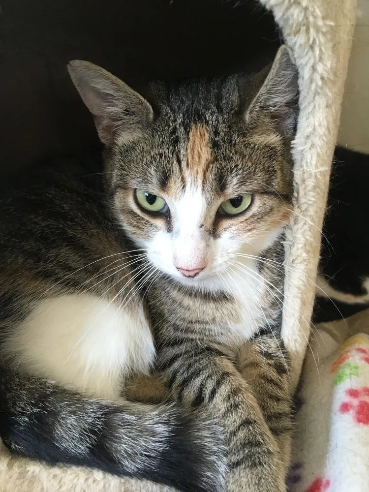 Skittles thumbnail 2