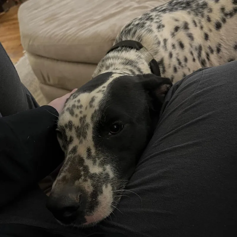 Luna