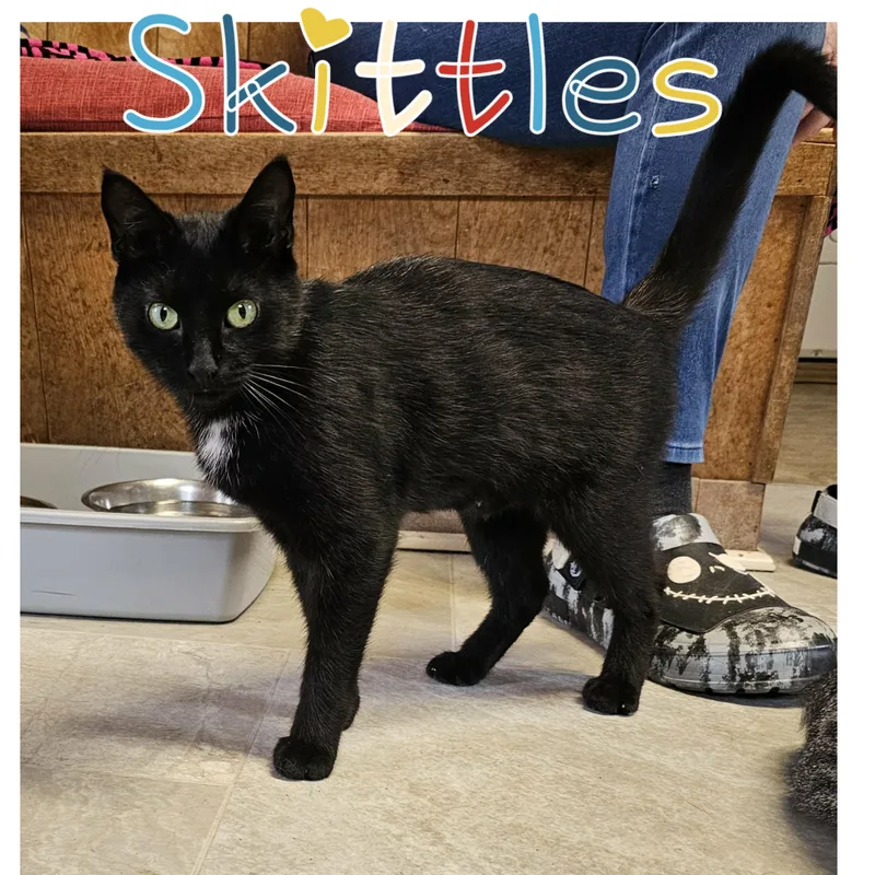 Skittles