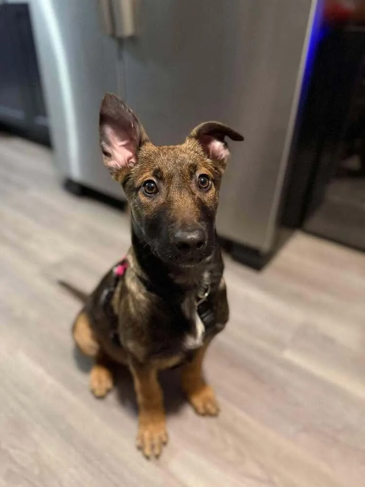 Freya Fka Getaway Girl