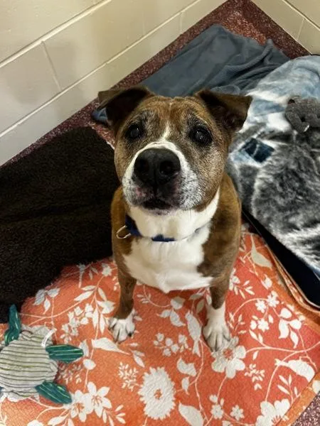 Reuben