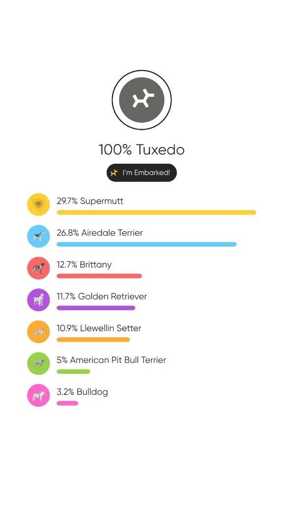 Chocolate Lava thumbnail 5