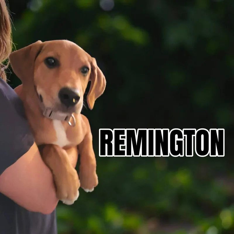 Remington female