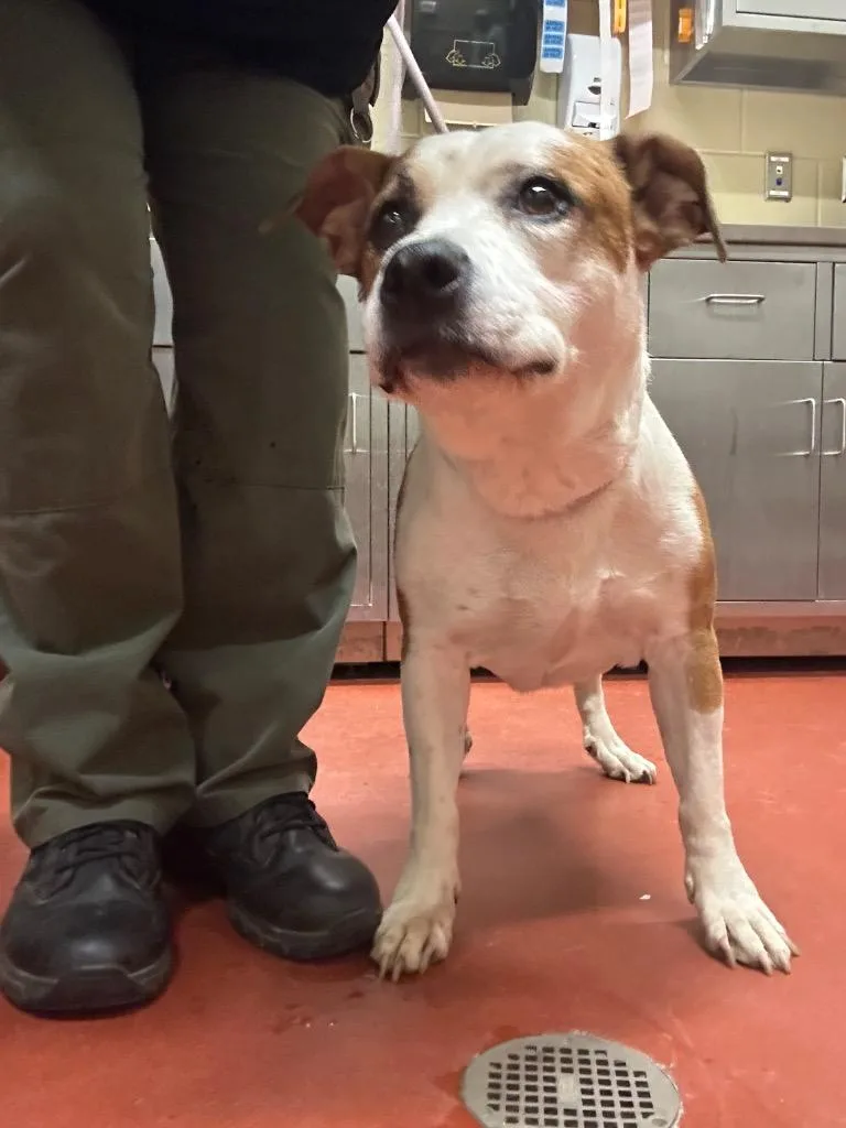 Moona Vinson thumbnail 2