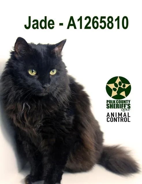 Jade
