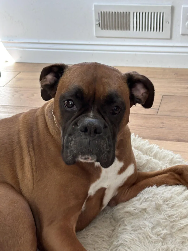 Nala Bonded To Eddie thumbnail 3