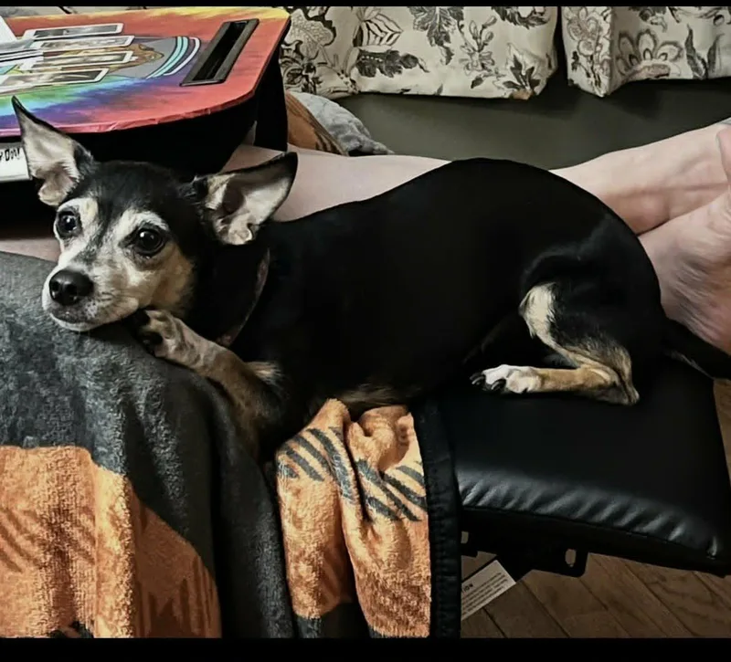 Maddie thumbnail 2