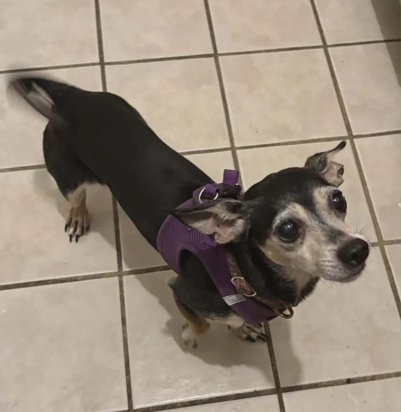Maddie thumbnail 5