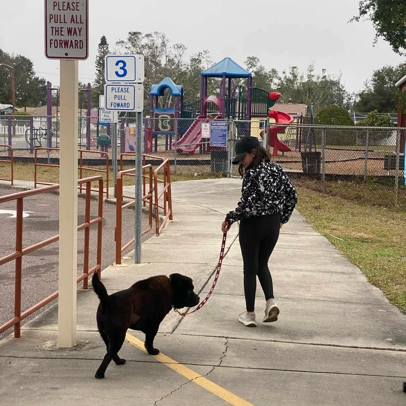 Bb King Aka Biggie thumbnail 2