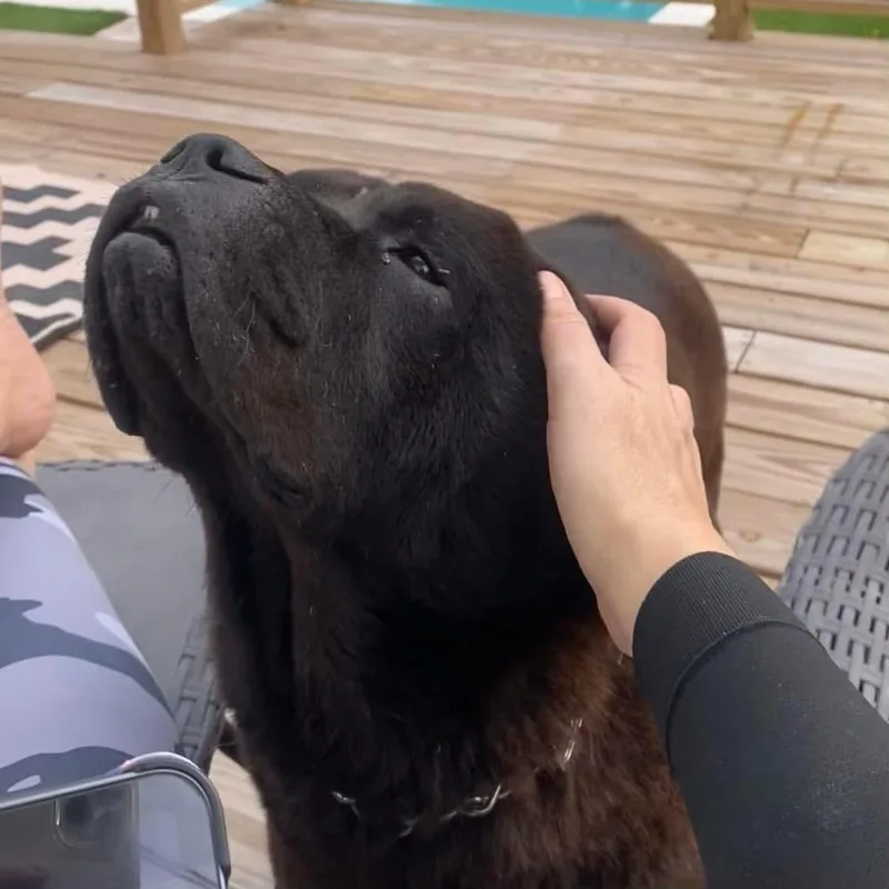 Bb King Aka Biggie thumbnail 3