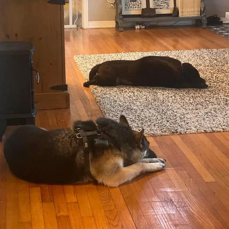 Bb King Aka Biggie thumbnail 4