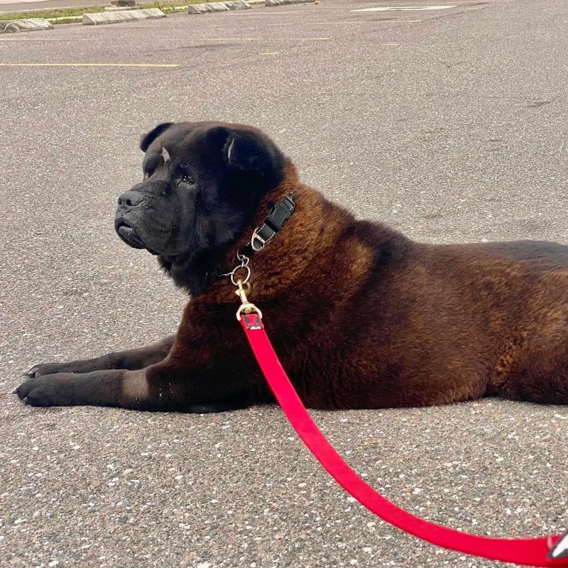 Bb King Aka Biggie thumbnail 5