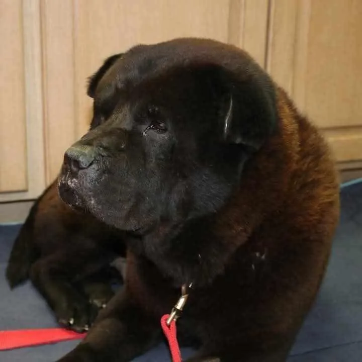 Bb King Aka Biggie thumbnail 6