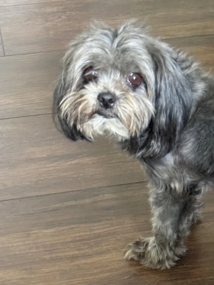 Maggie Mae