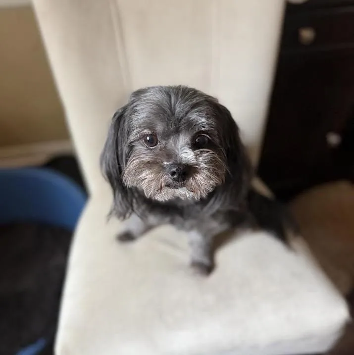 Maggie Mae thumbnail 2