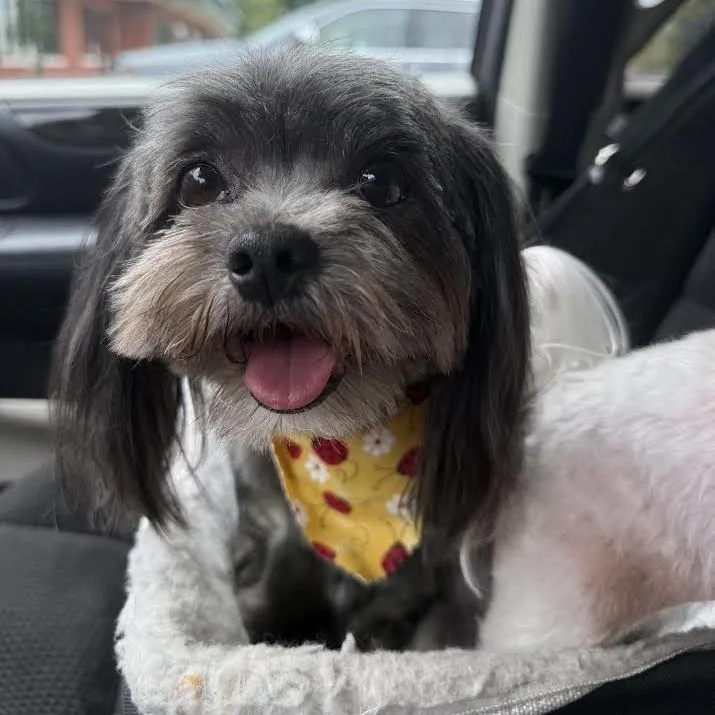 Maggie Mae thumbnail 3