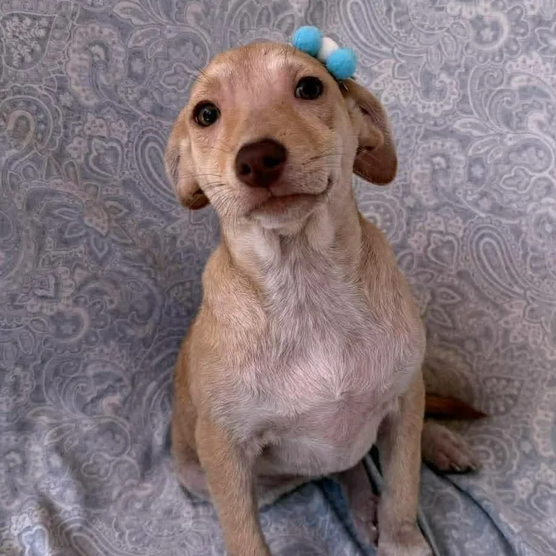 Kimberly thumbnail 2