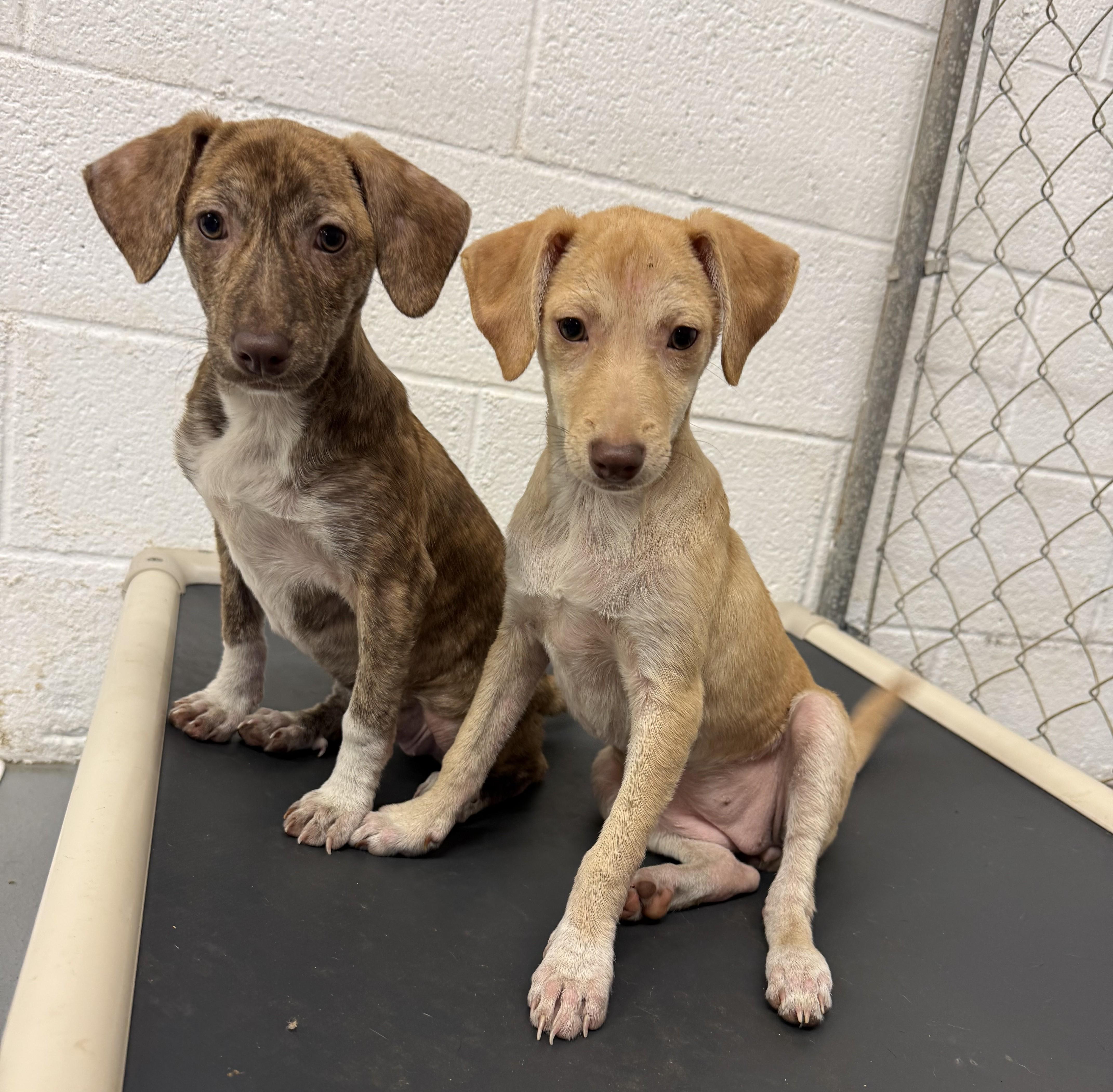 Kimberly thumbnail 3