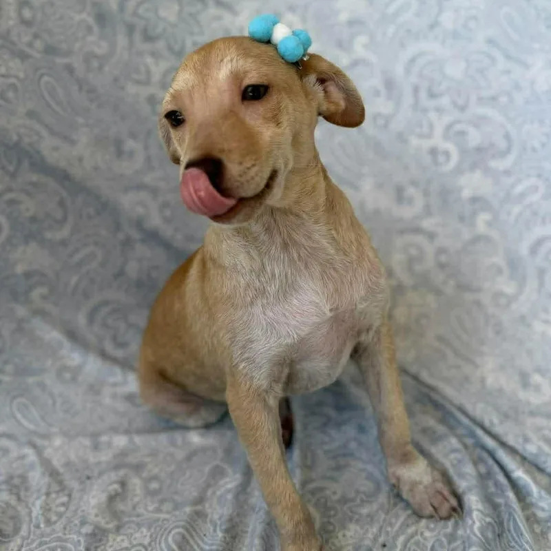 Kimberly thumbnail 4