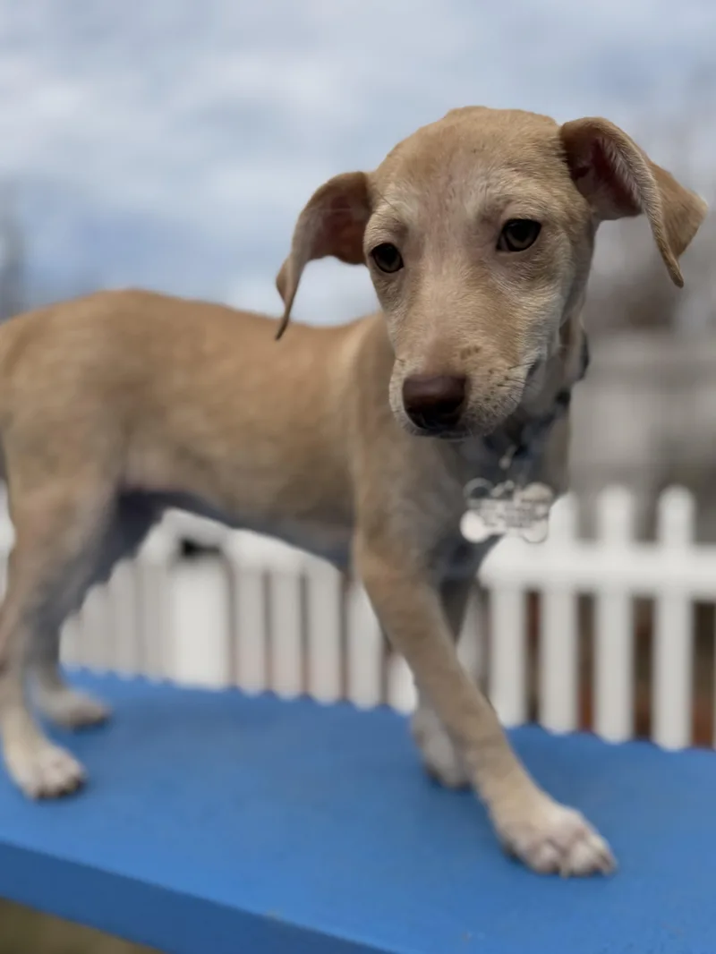 Kimberly thumbnail 5