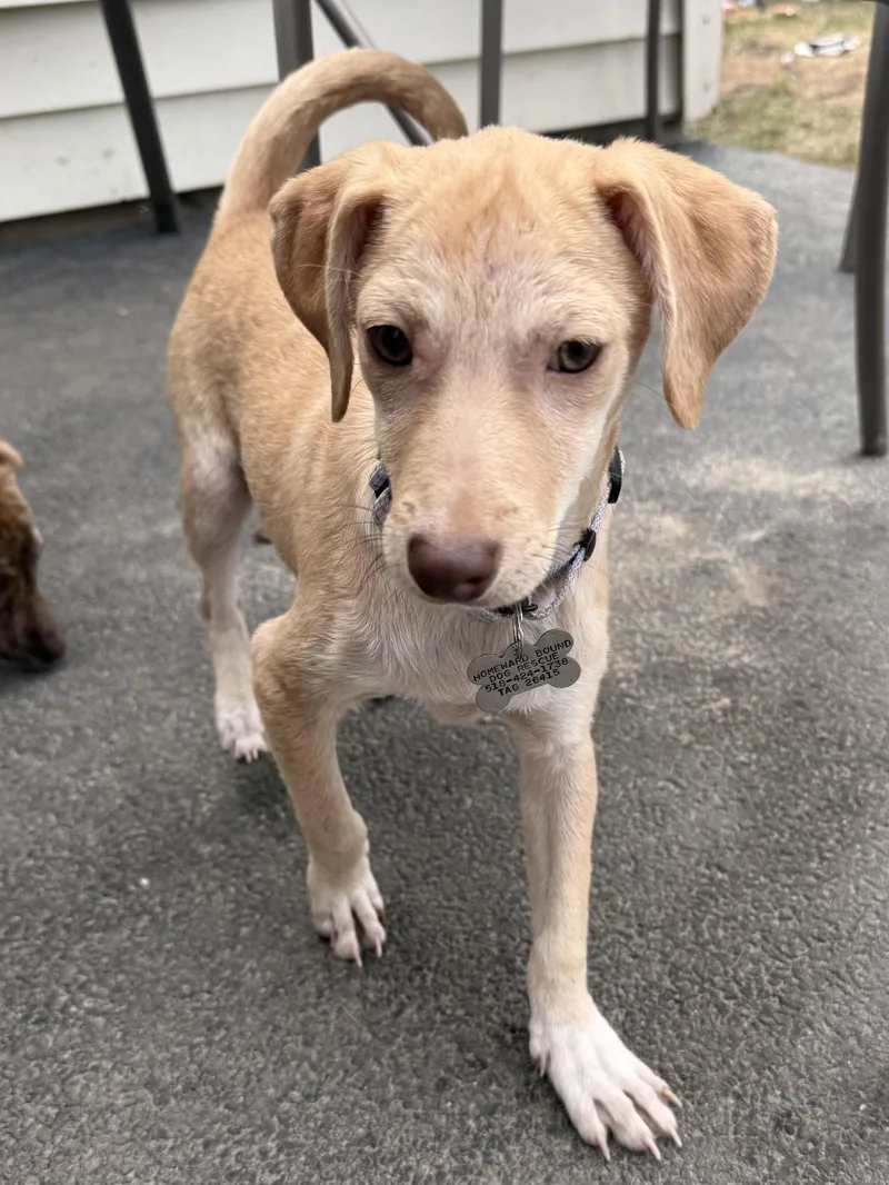 Kimberly thumbnail 6