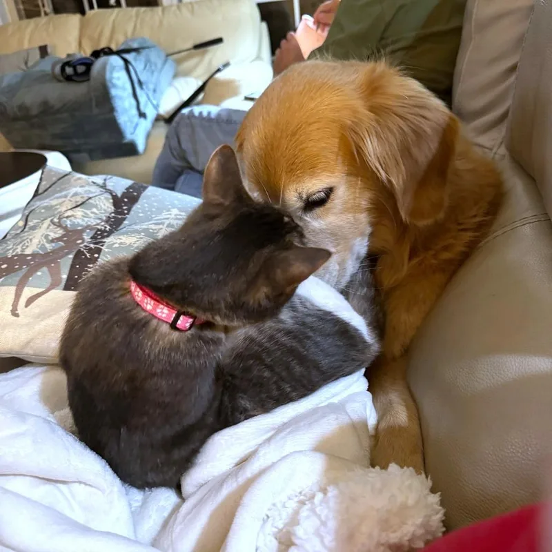Sophie thumbnail 4