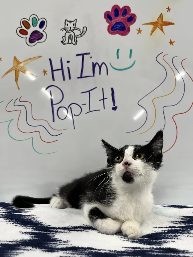 Popit thumbnail 3