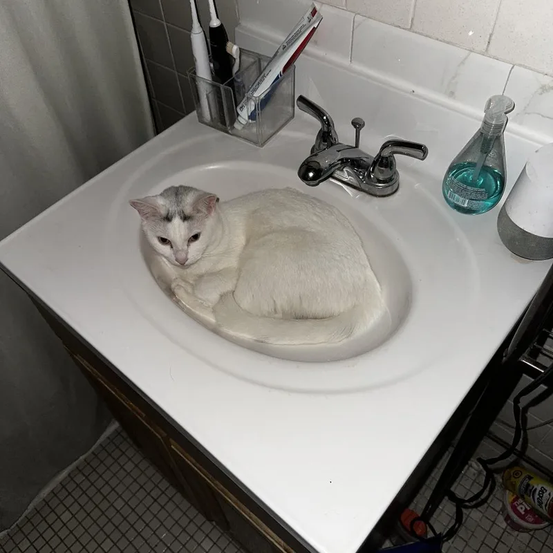 Queen's Gambit thumbnail 3