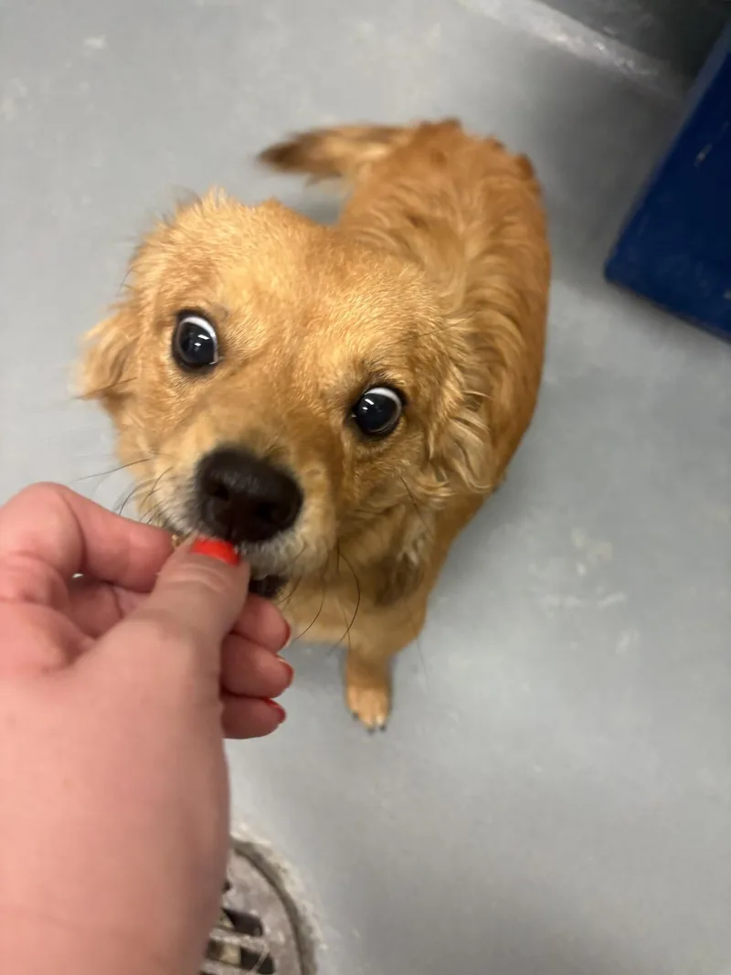 Charlie thumbnail 3