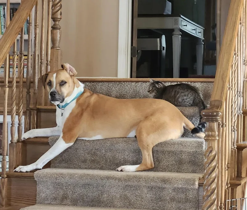 Penelope thumbnail 2