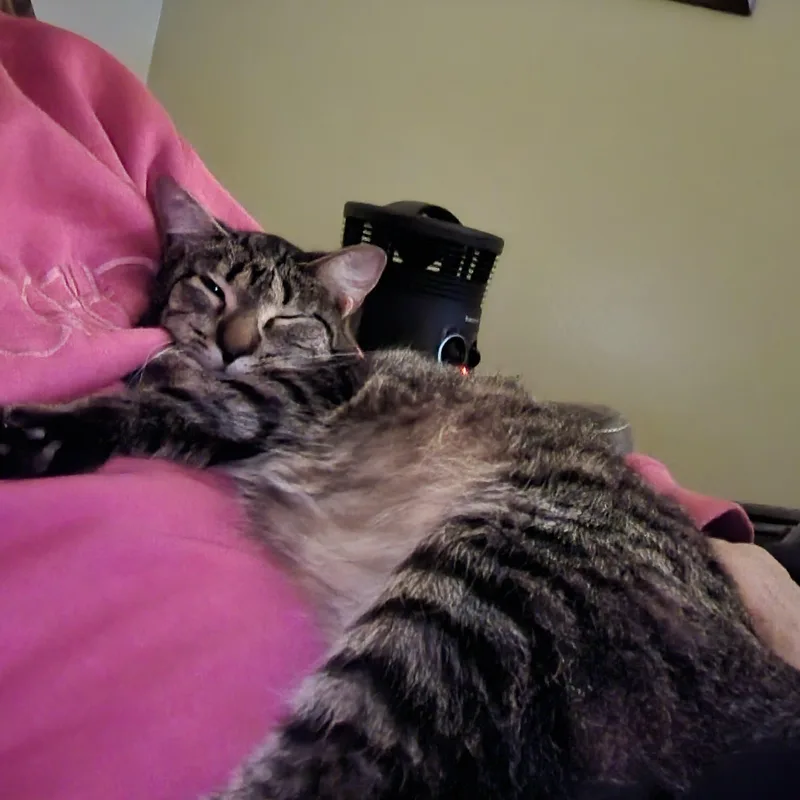 Penelope thumbnail 4