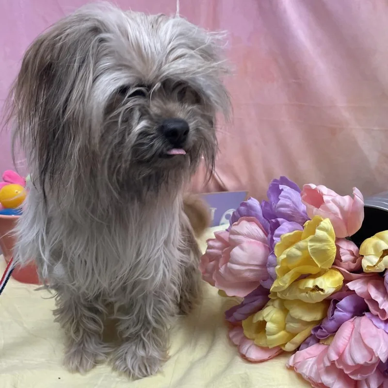 Gerard Way thumbnail 2