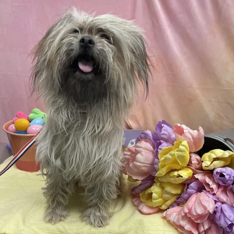 Gerard Way thumbnail 4