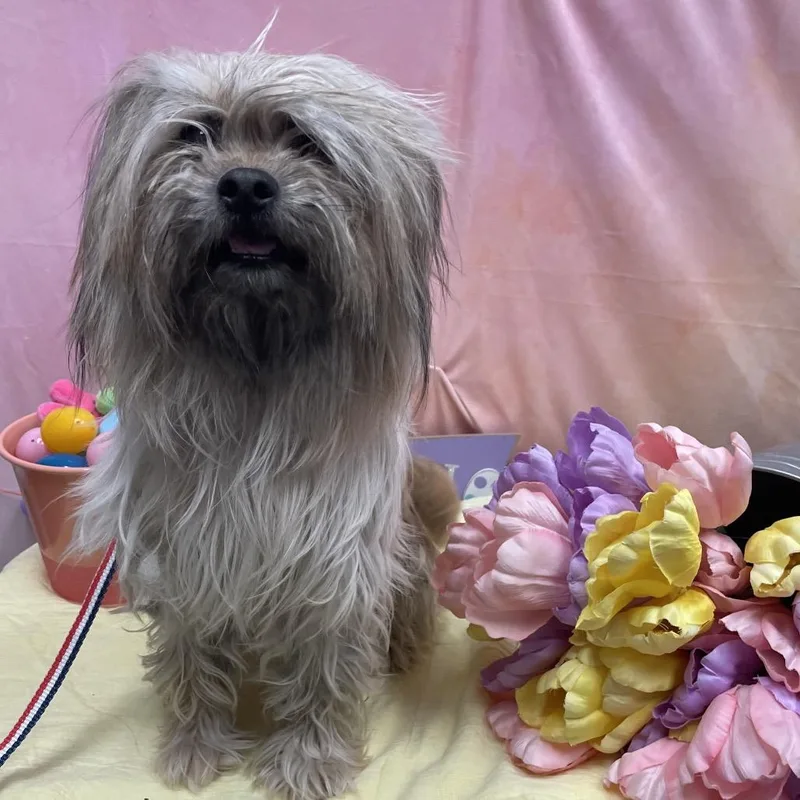 Gerard Way thumbnail 5