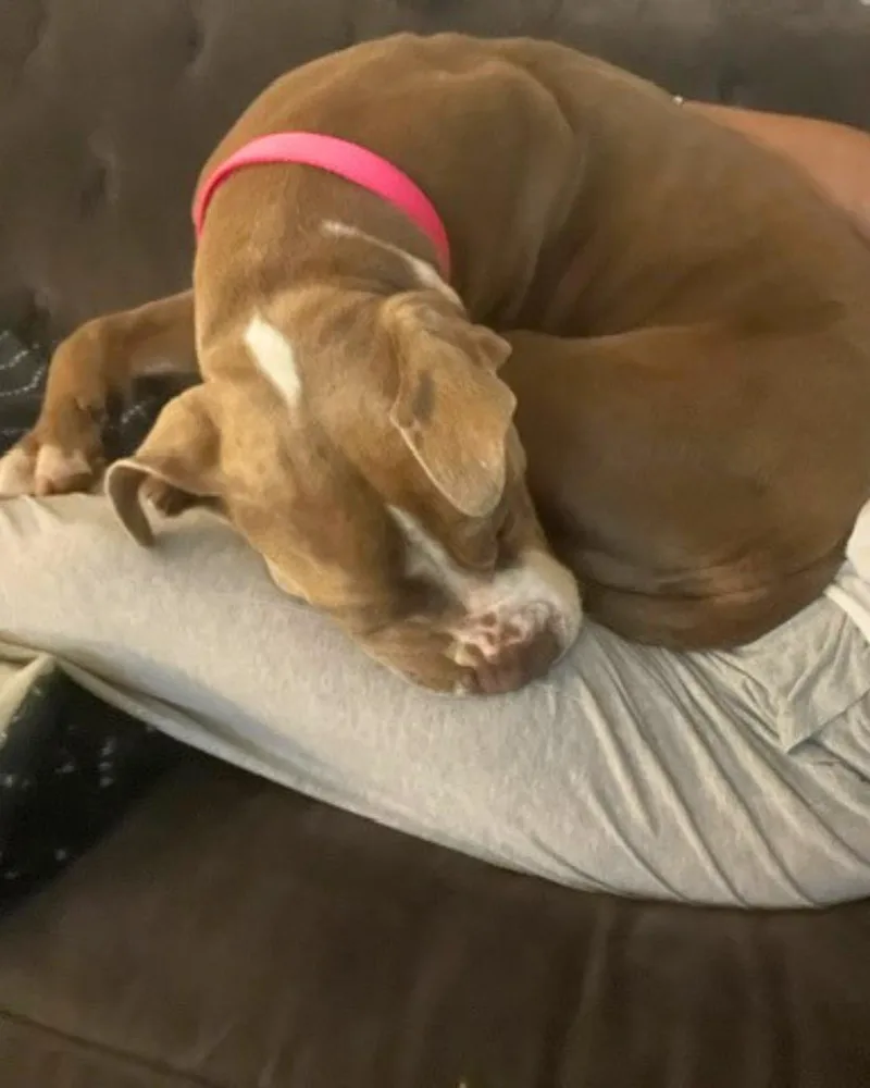 Giuliana Droopy Love thumbnail 6