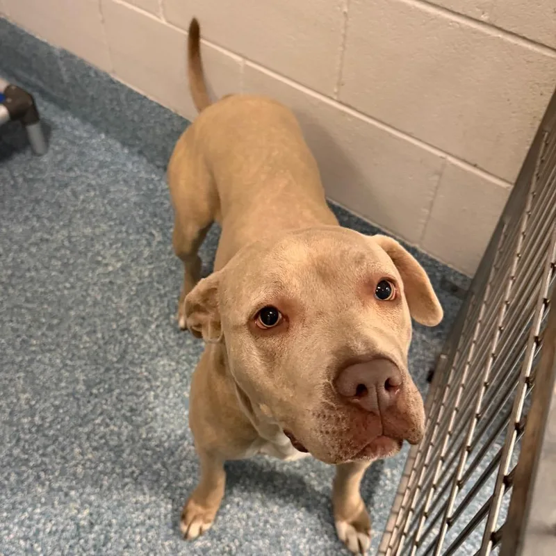 Cash Money thumbnail 2