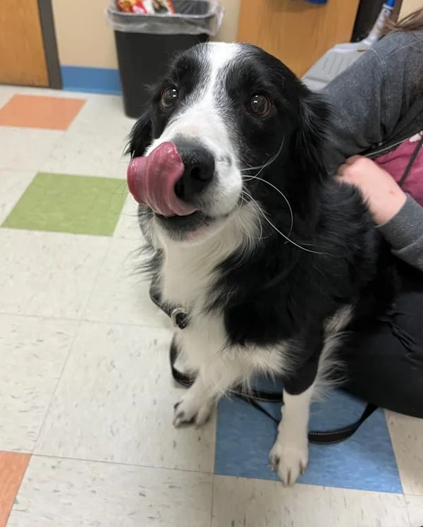 Milo