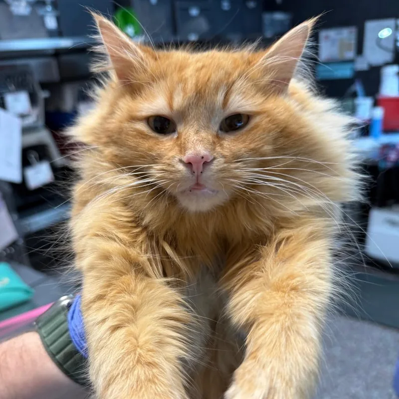 Philadelphia thumbnail 2