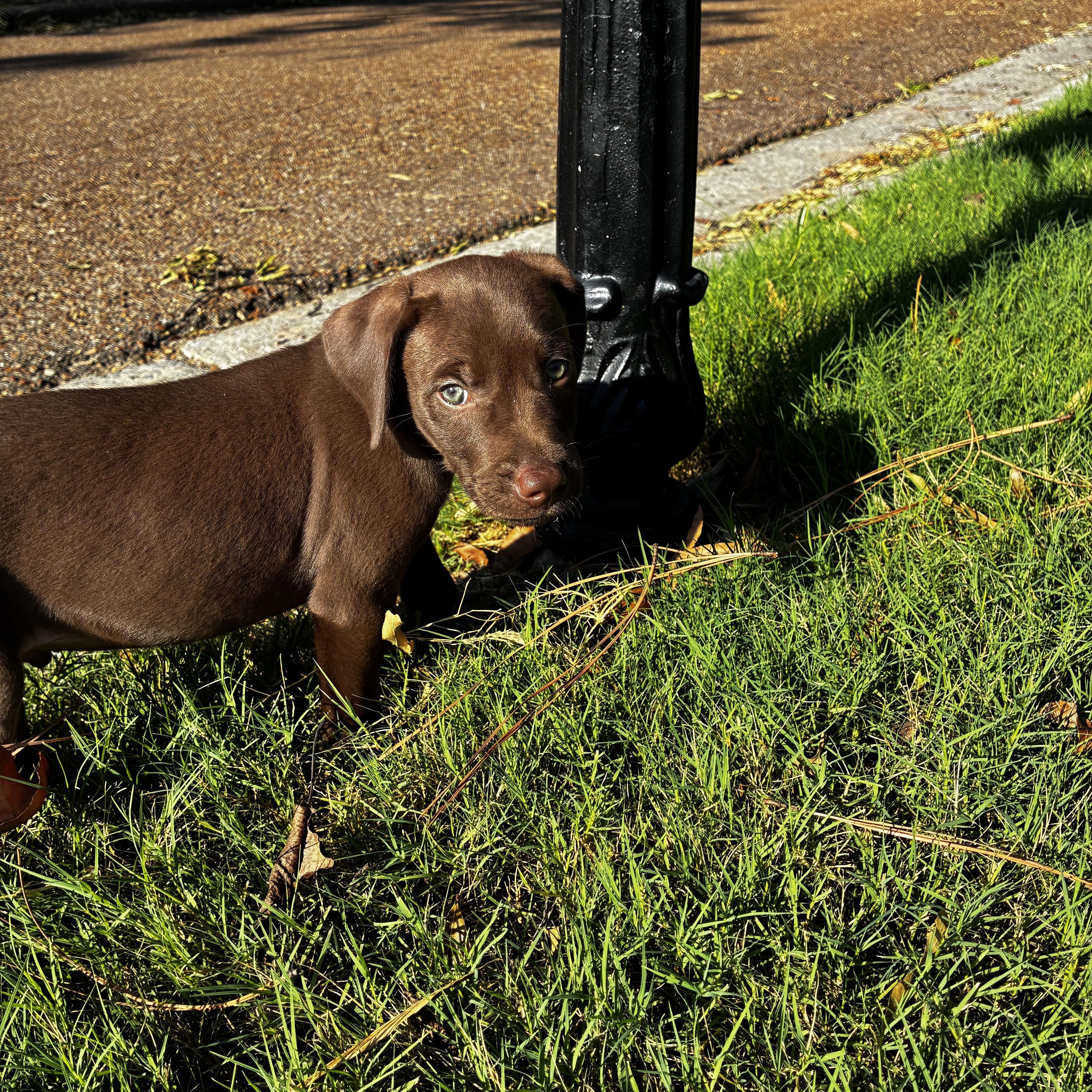 Murphy thumbnail 2