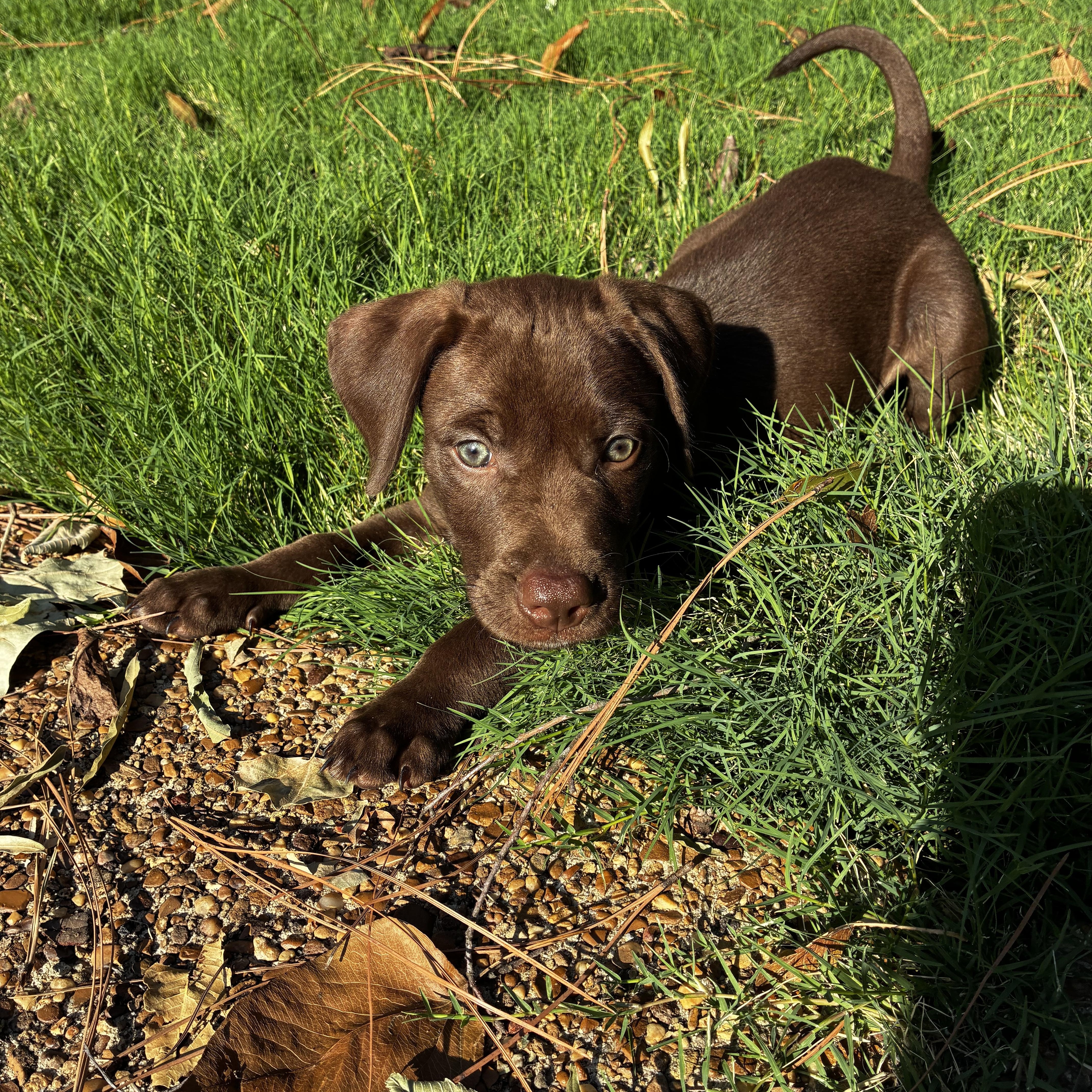 Murphy thumbnail 3