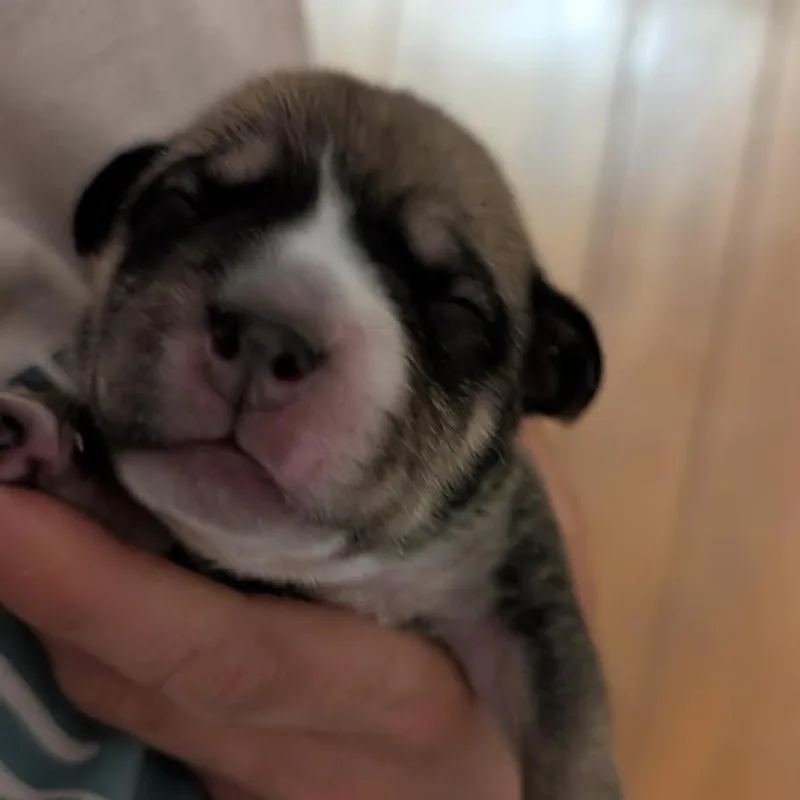 Zoee thumbnail 2