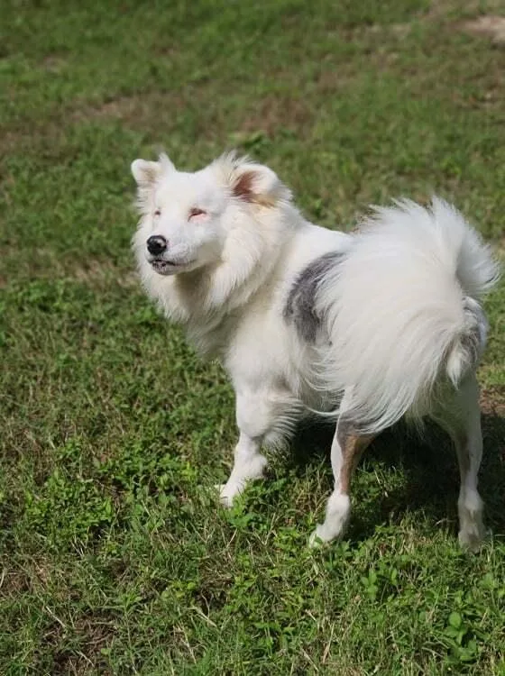 Brayleigh thumbnail 2